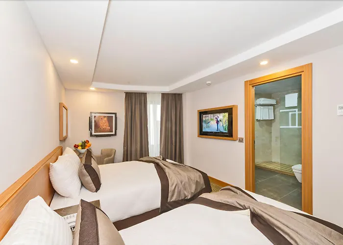 ビセタン ホテル イスタンブール