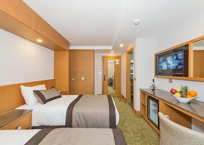 ビセタン ホテル イスタンブール