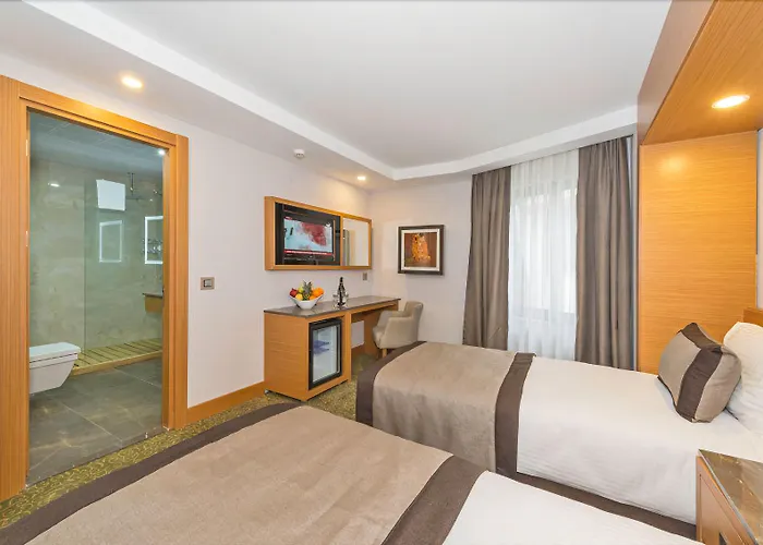 比塞顿酒店 酒店 伊斯坦布尔