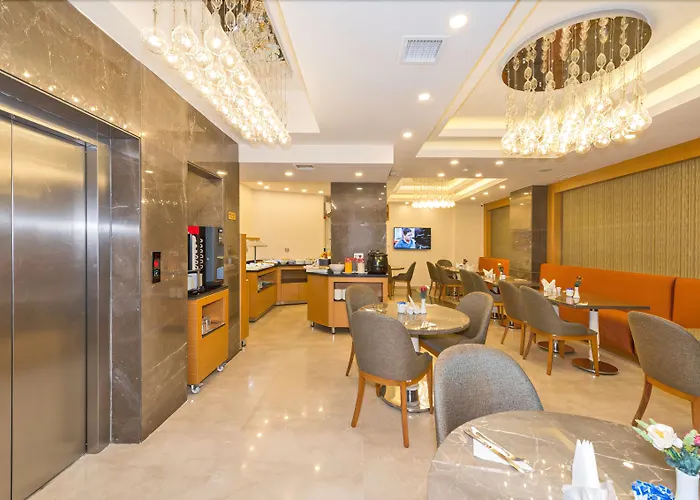 酒店 比塞顿酒店 4*