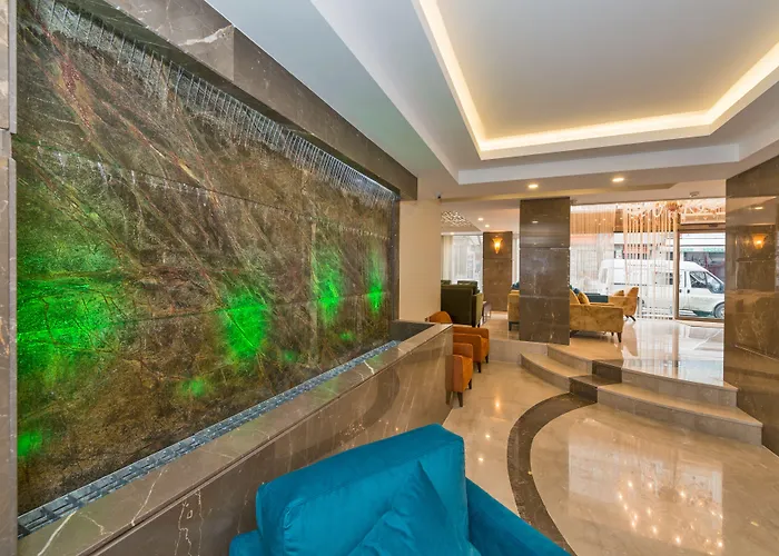 酒店 比塞顿酒店 4*