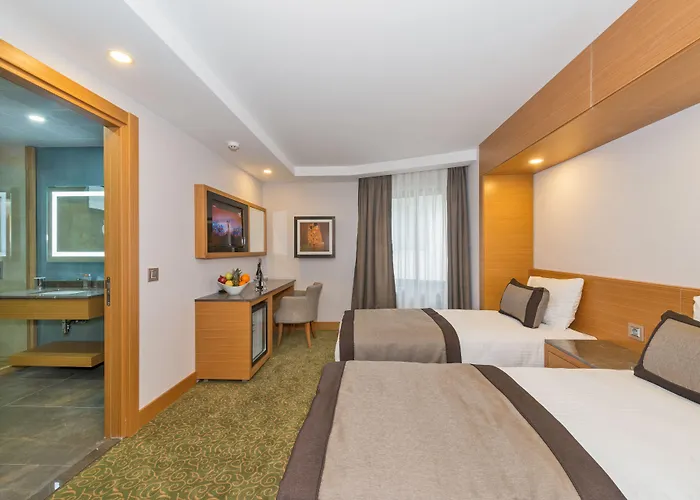 比塞顿酒店 酒店 伊斯坦布尔