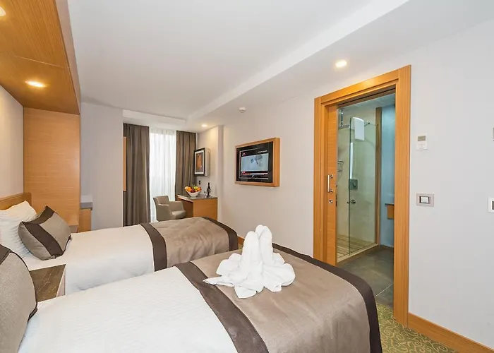 比塞顿酒店 酒店